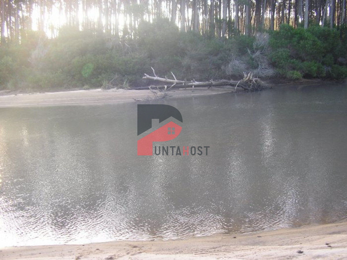 Terreno ID.267 - Excelentes lotes en Chihuahua