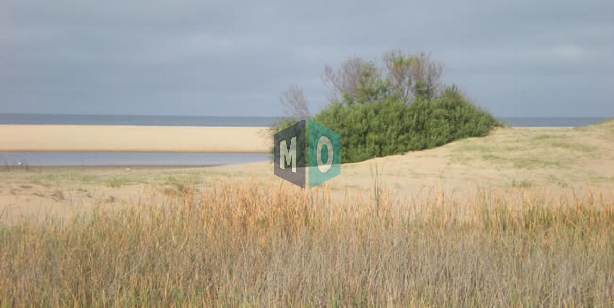 Terreno ID.1078 - Excelentes lotes en Chihuahua