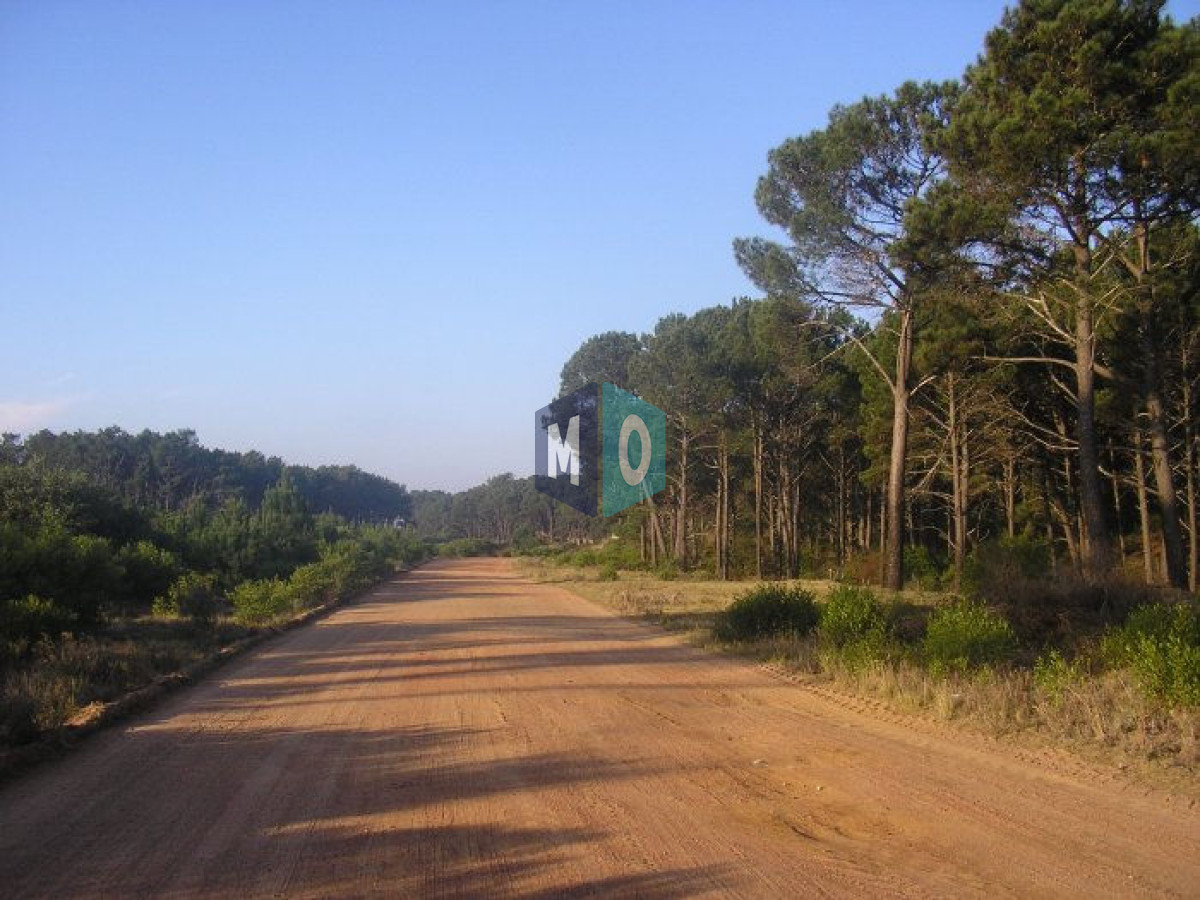 Terreno ID.1078 - Excelentes lotes en Chihuahua