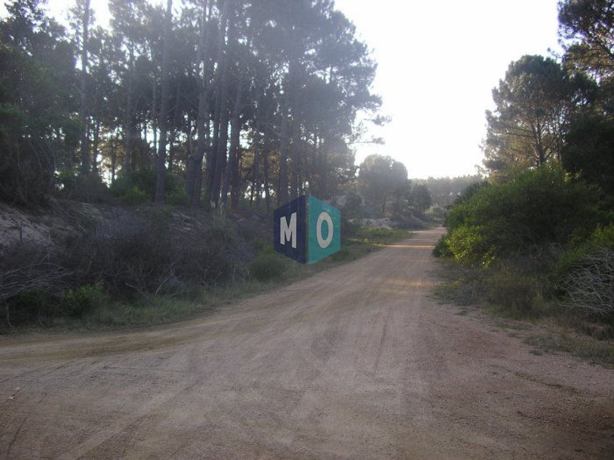 Terreno ID.1078 - Excelentes lotes en Chihuahua