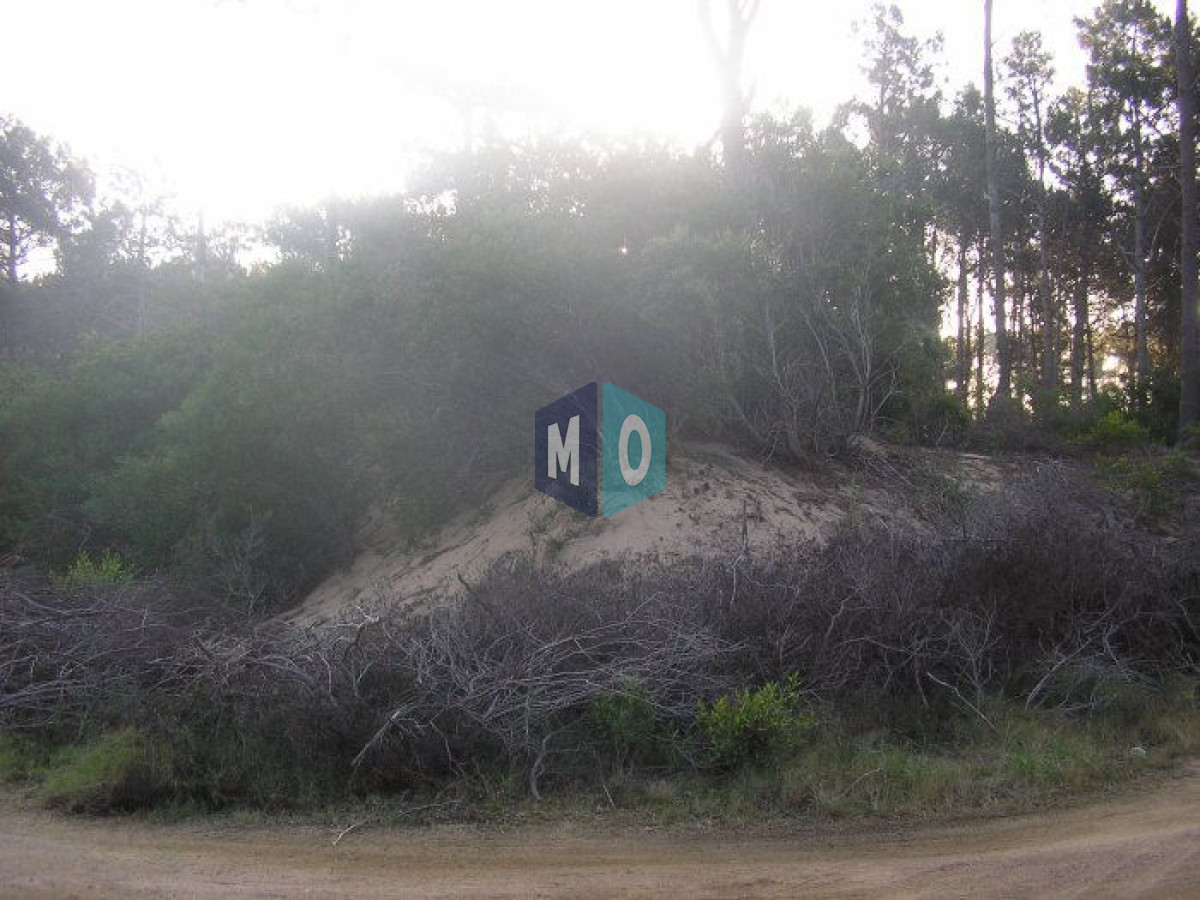 Terreno ID.1078 - Excelentes lotes en Chihuahua