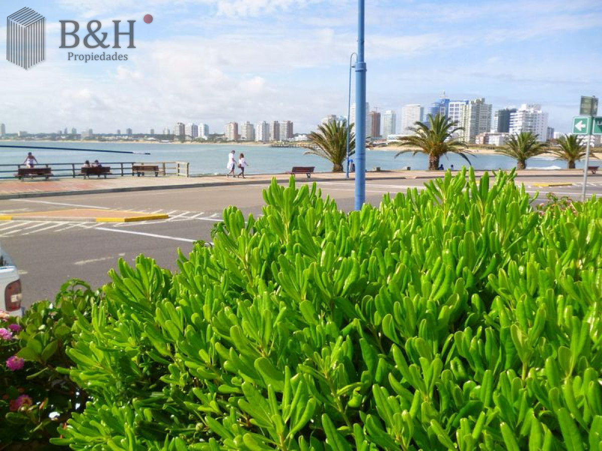 Apartamento ID.8099 - EXCLUSIVO APARTAMENTO EN PENINSULA EN VENTA