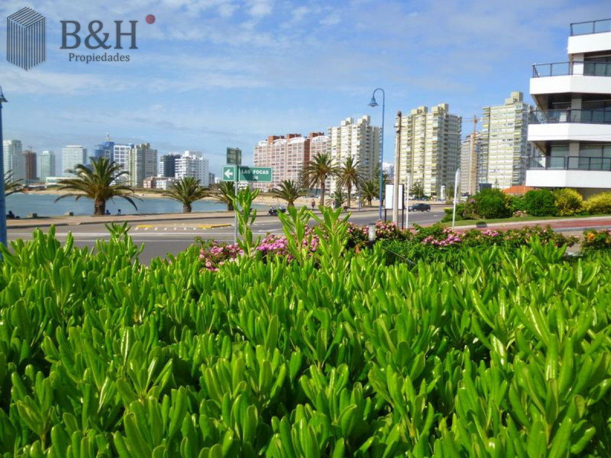 Apartamento ID.8099 - EXCLUSIVO APARTAMENTO EN PENINSULA EN VENTA