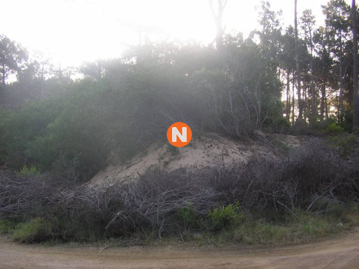 Terreno Ref.220436 - Excelentes lotes en Chihuahua