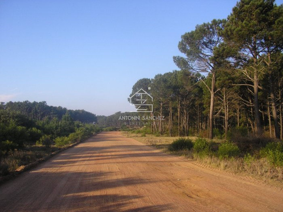Terreno ID.2558 - Excelentes lotes en Chihuahua