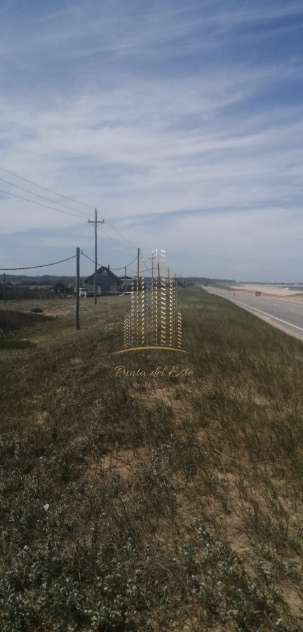 Terreno ID.539 - Terreno en venta en Santa Mónica, José Ignacio