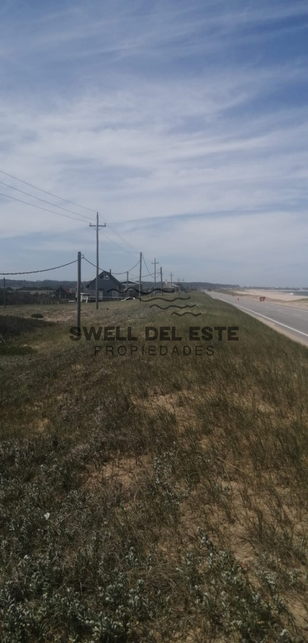 Terreno ID.92 - Terreno en Jose Ignacio, Santa Monica