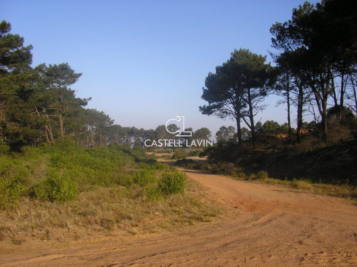 Terreno ID.15 - Excelentes lotes en Chihuahua