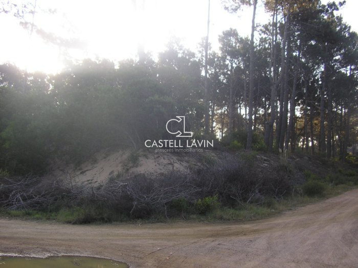 Terreno ID.15 - Excelentes lotes en Chihuahua