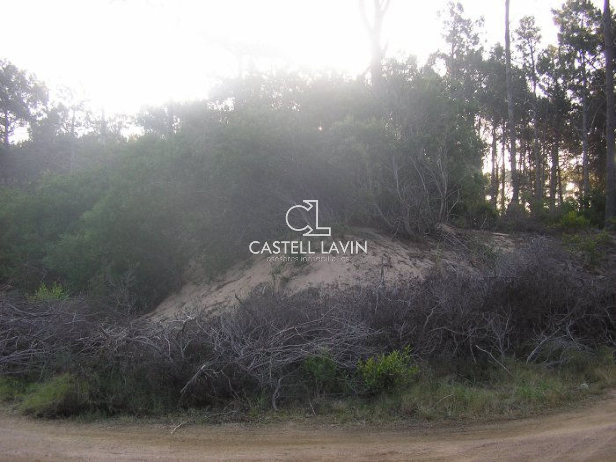 Terreno ID.15 - Excelentes lotes en Chihuahua