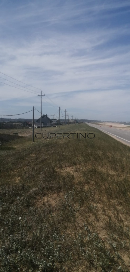 Terreno en Jose Ignacio, Santa Monica — foto 12