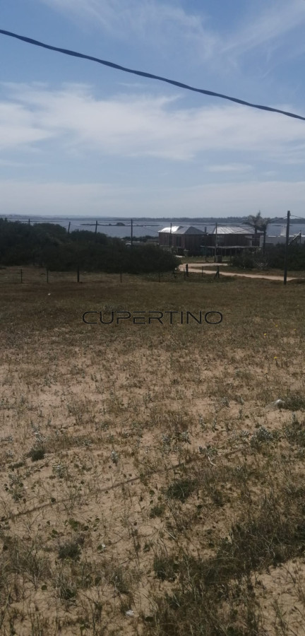 Terreno en Jose Ignacio, Santa Monica — foto 9