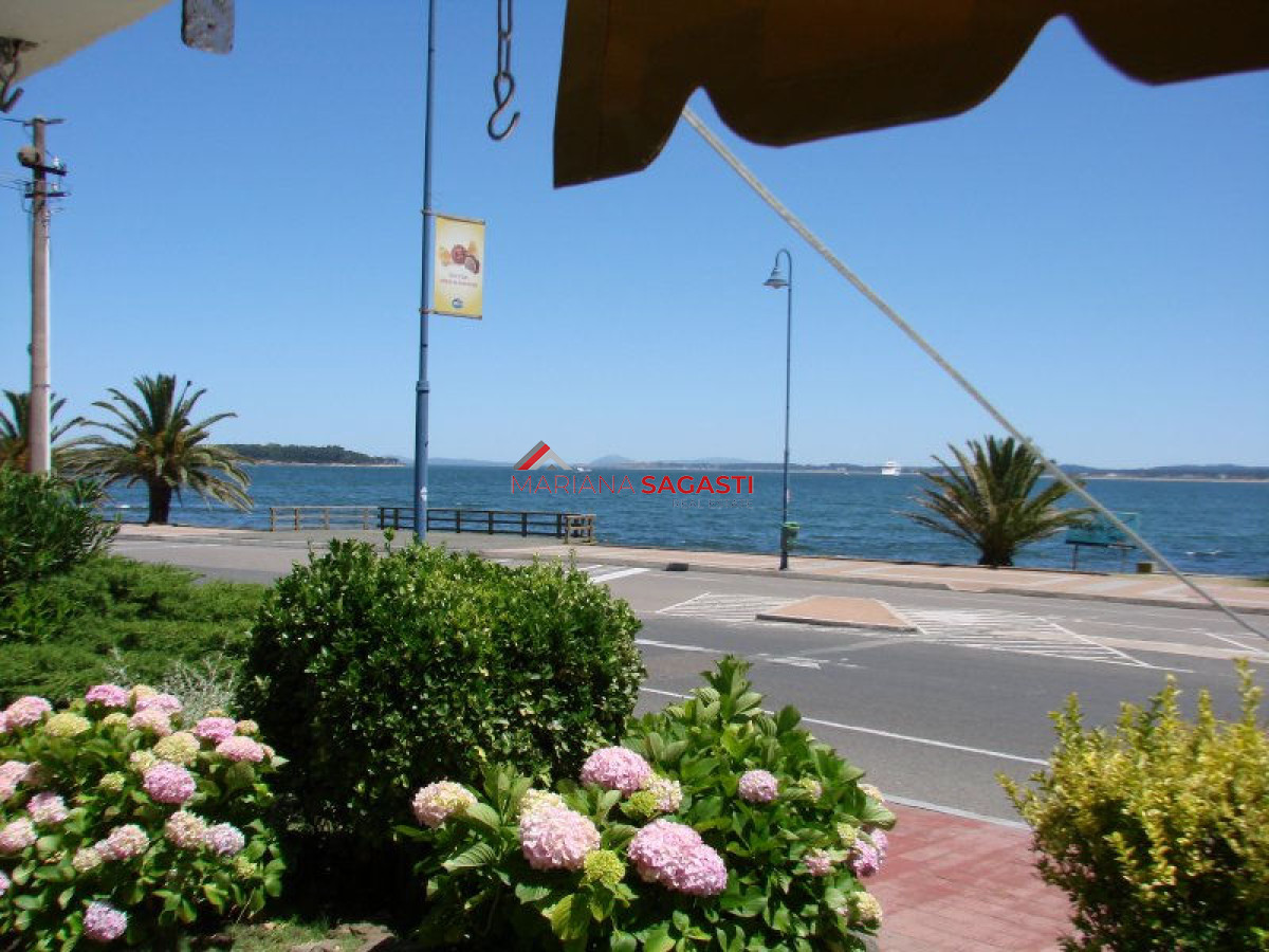 Apartamento ID.496 - Apartamento en Punta del Este, Península