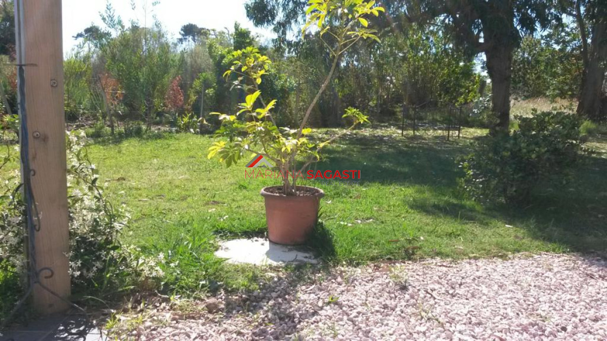 Casa ID.3417 - Casa en Punta del Este, Pinares