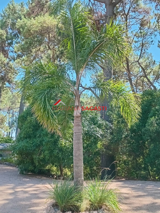 Casa ID.4276 - Casa en Punta Ballena, Club del Lago