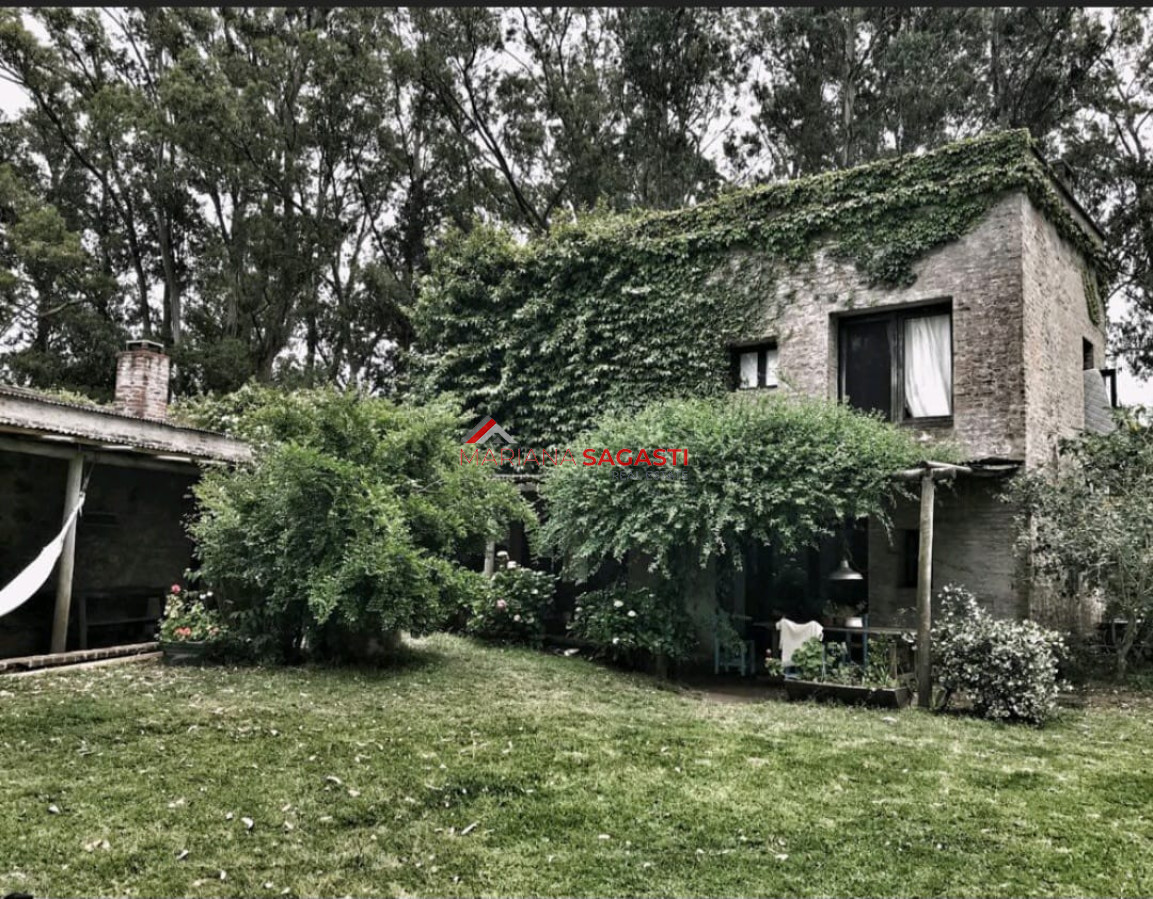 Chacra ID.3716 - 