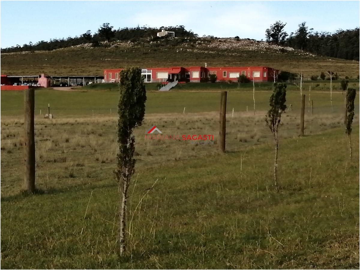 Chacra ID.3390 - 