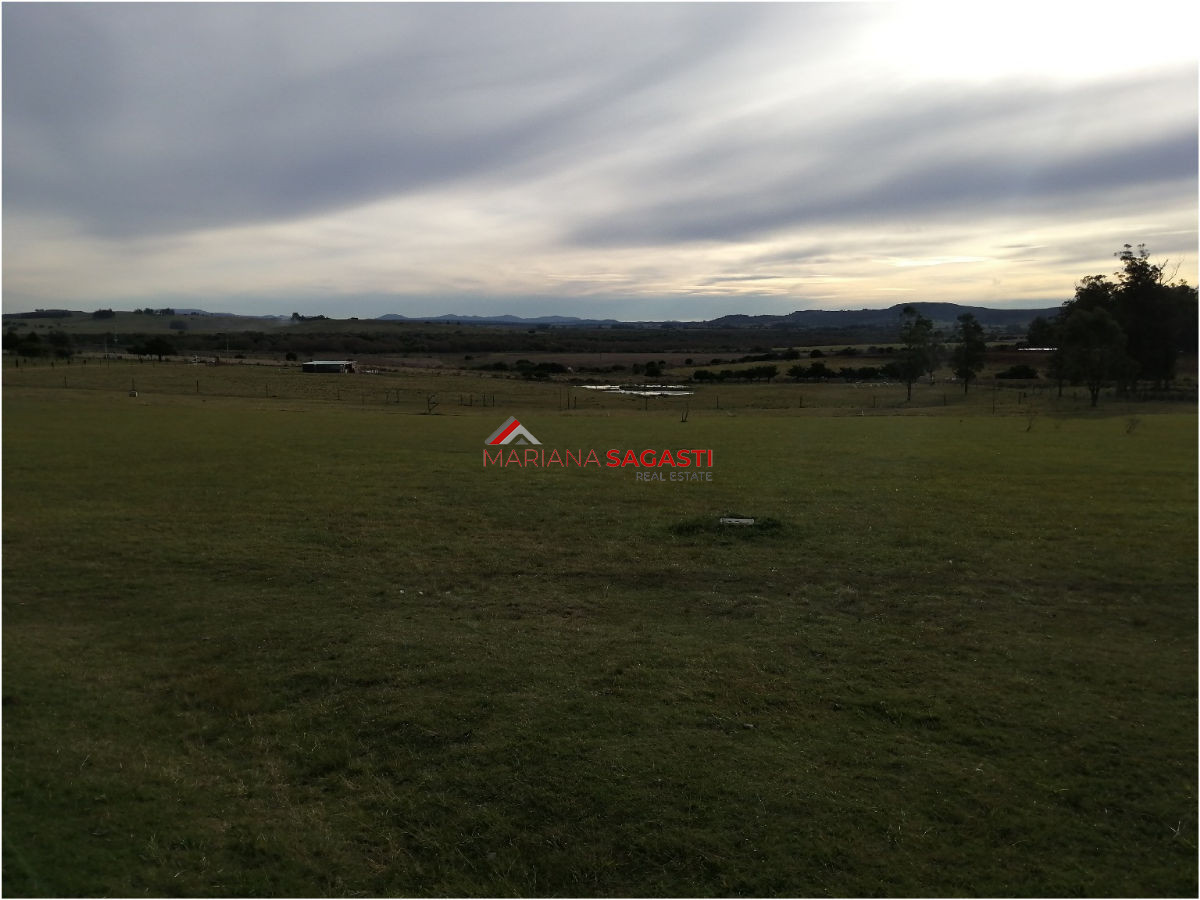 Chacra ID.3390 - 