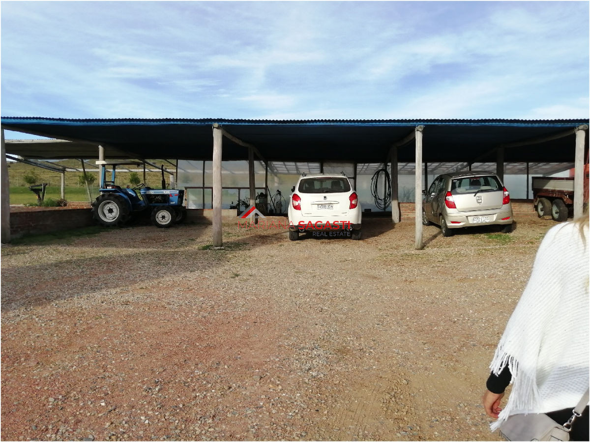 Chacra ID.3390 - 