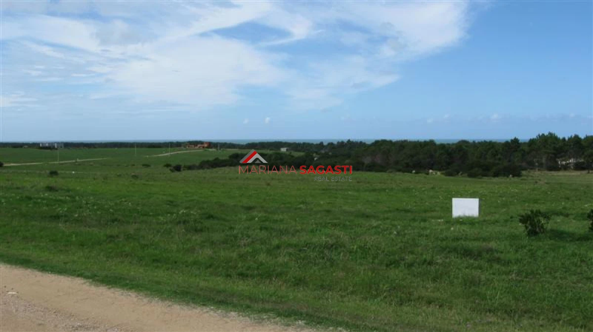 Chacra ID.4193 - 