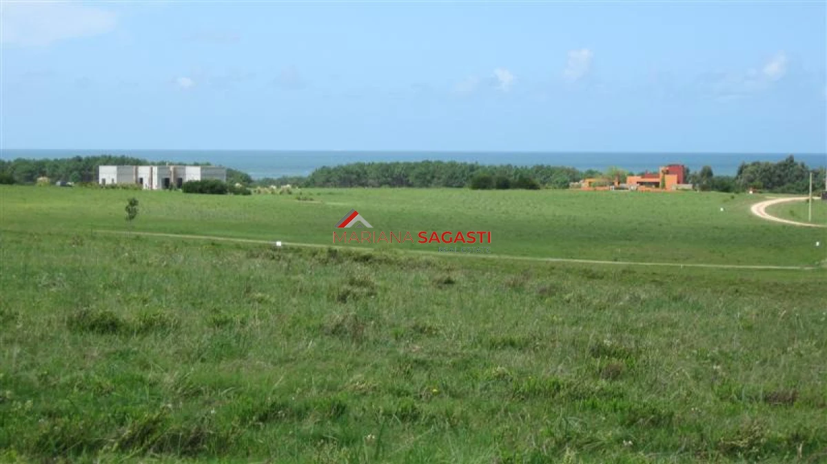 Chacra ID.4193 - 