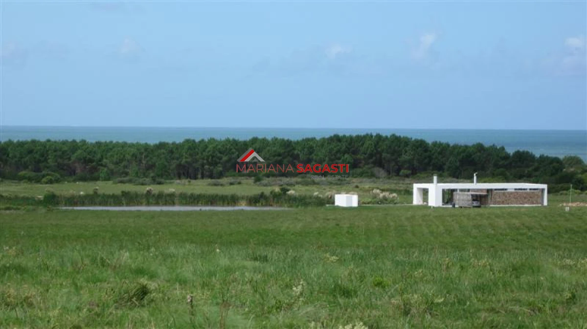 Chacra ID.4193 - 