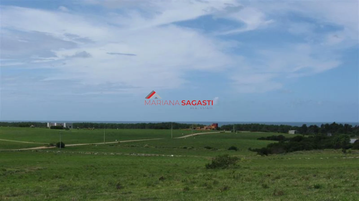 Chacra ID.4193 - 