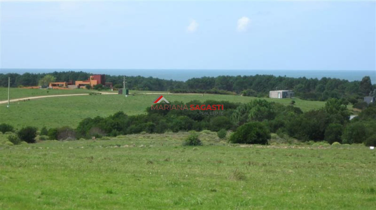 Chacra ID.4193 - 