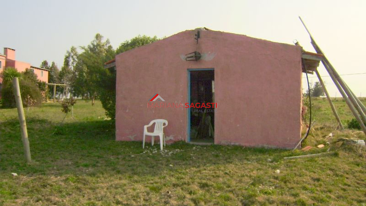 Chacra ID.3383 - 