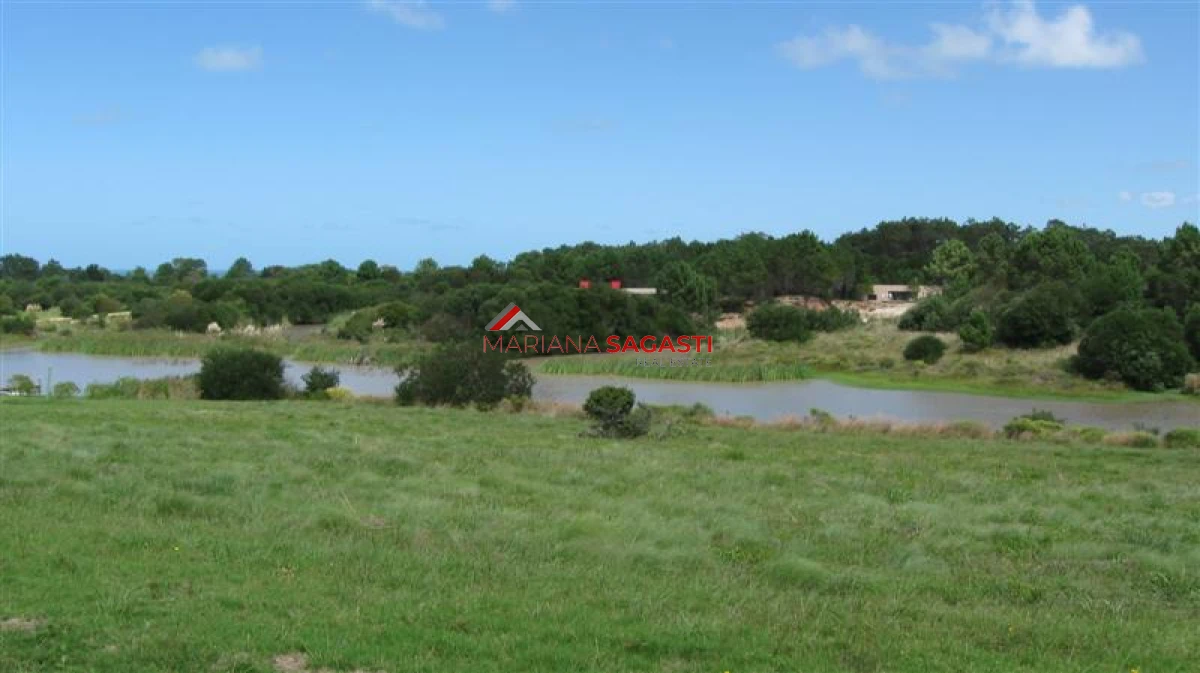 Chacra ID.4193 - 
