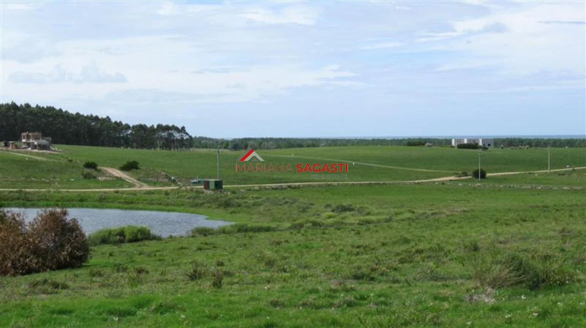 Chacra ID.4193 - 