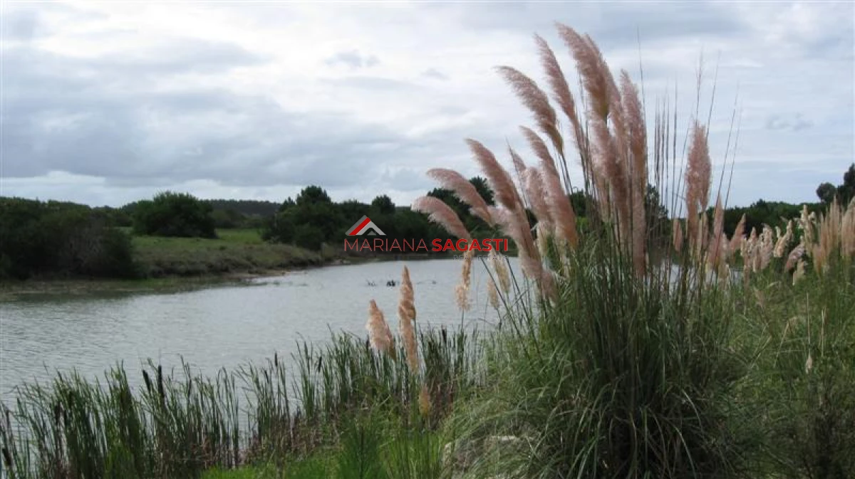 Chacra ID.4193 - 