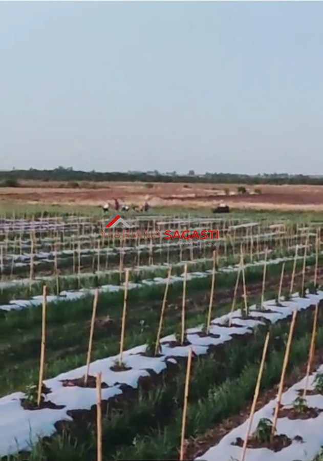 Campo Ref.3552 - Campo en , 