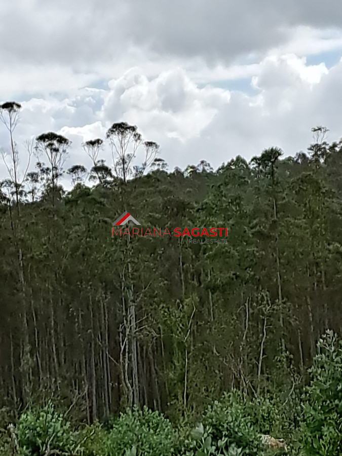 Campo Ref.3601 - Campo en , 