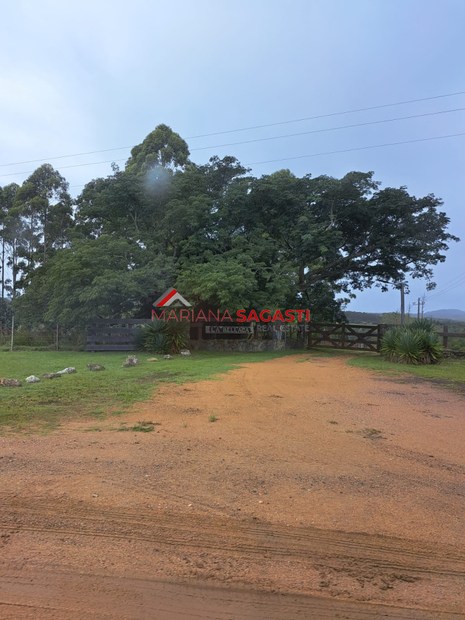 Campo Ref.3601 - Campo en , 