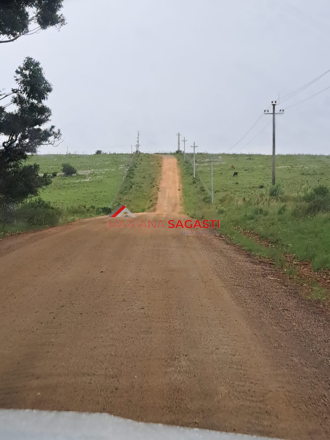 Campo Ref.3601 - Campo en , 