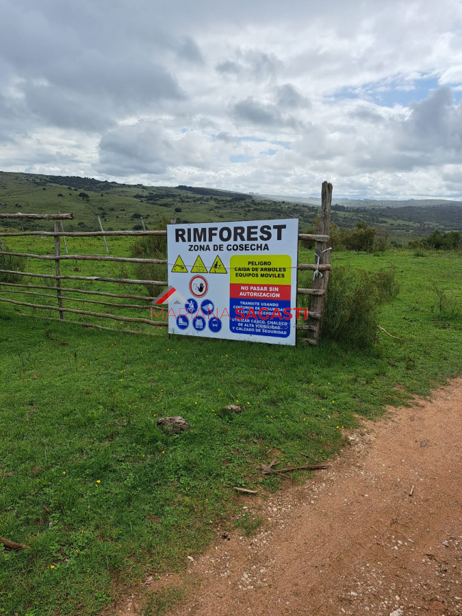 Campo Ref.3601 - Campo en , 