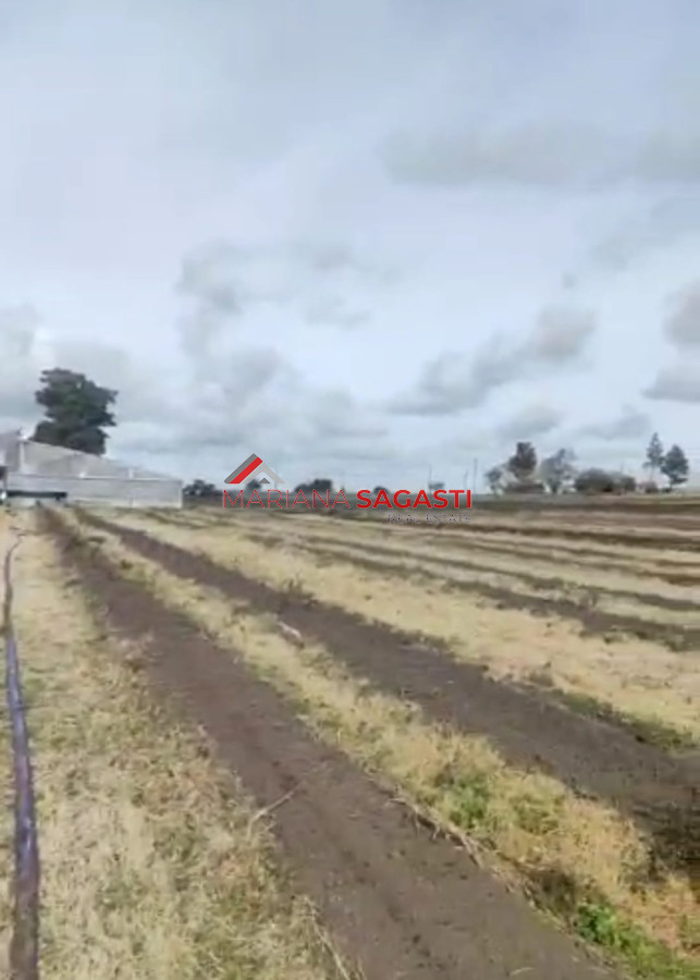 Campo Ref.3552 - Campo en , 