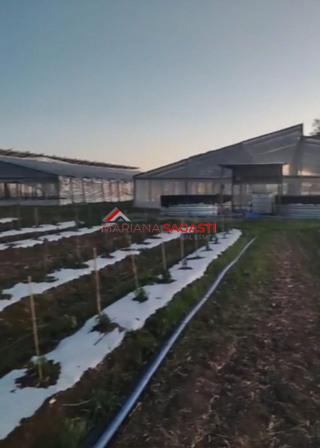 Campo Ref.3552 - Campo en , 
