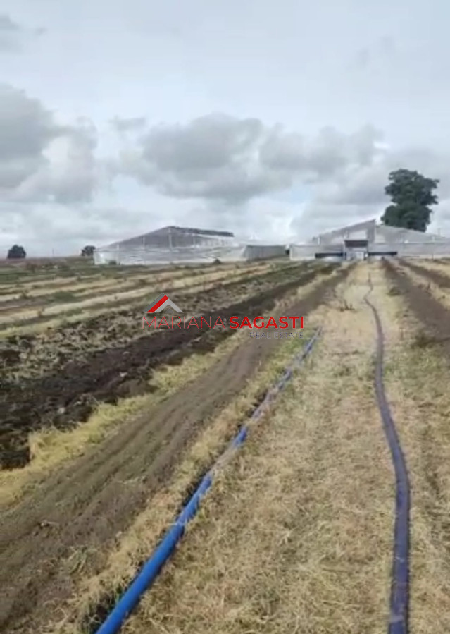 Campo Ref.3552 - Campo en , 