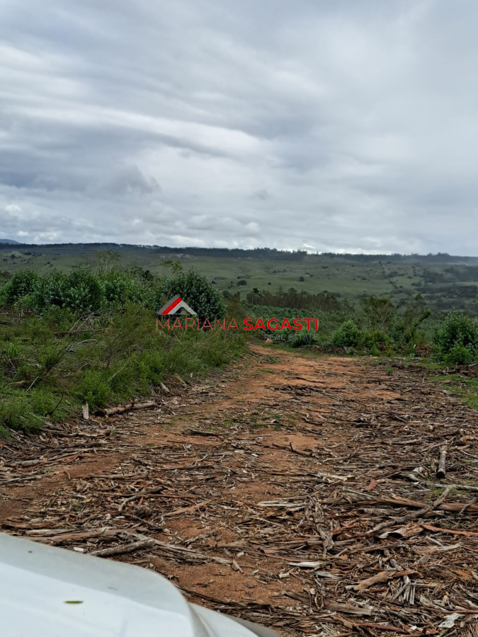 Campo Ref.3601 - Campo en , 