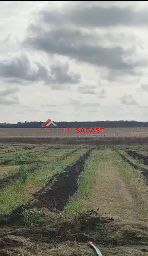 Campo Ref.3552 - Campo en , 