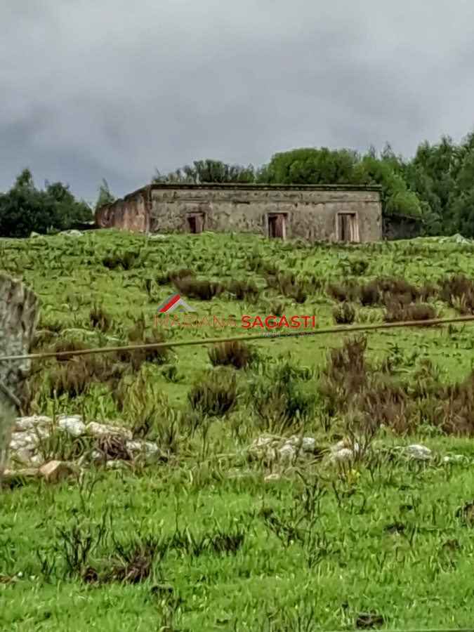 Campo Ref.3601 - Campo en , 