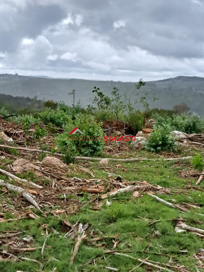 Campo Ref.3601 - Campo en , 