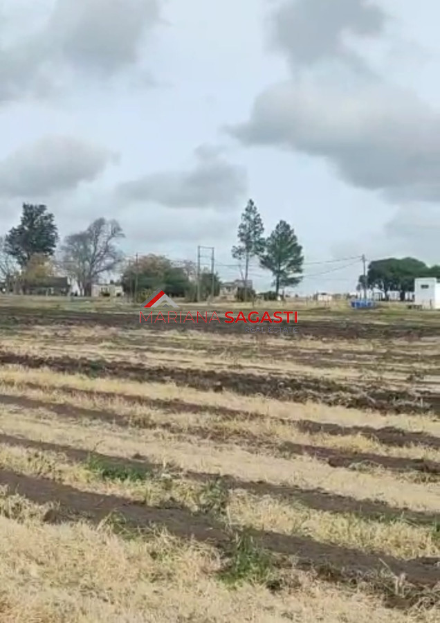Campo Ref.3552 - Campo en , 