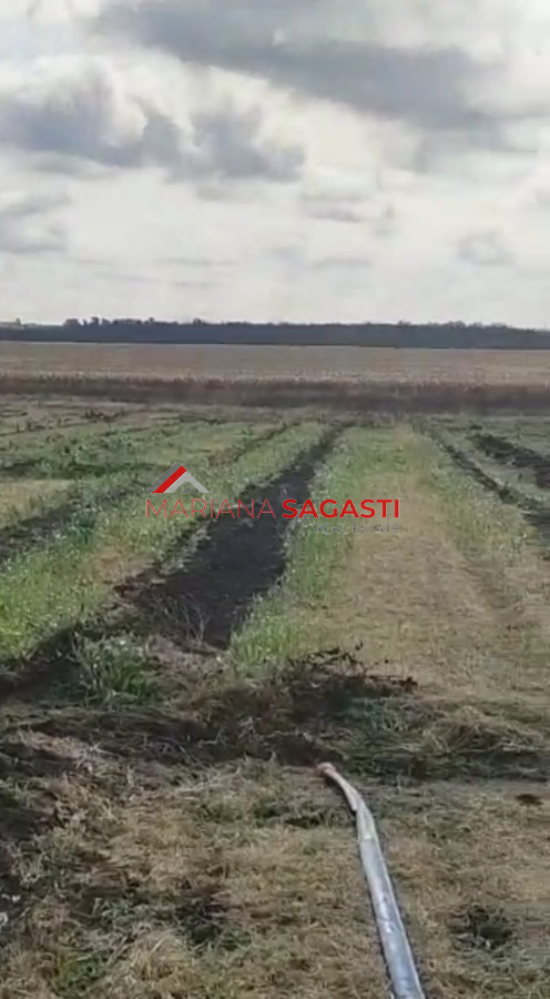 Campo Ref.3552 - Campo en , 