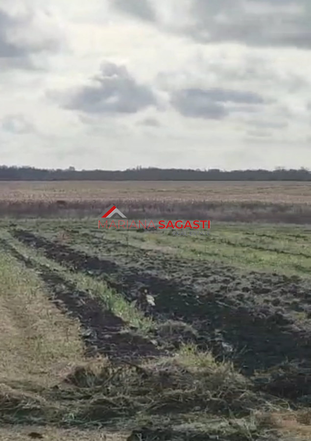 Campo Ref.3552 - Campo en , 