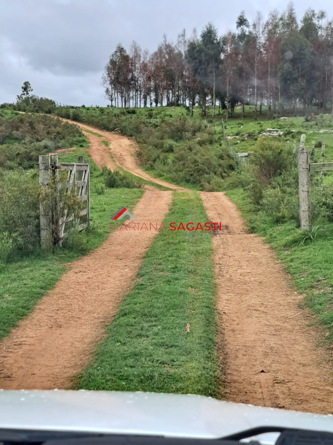 Campo Ref.3601 - Campo en , 