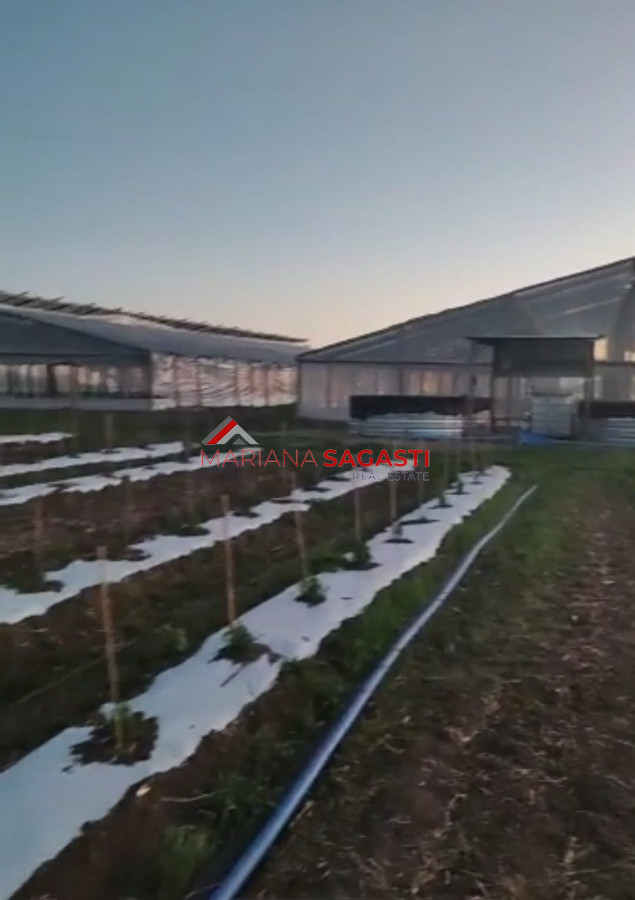 Campo Ref.3552 - Campo en , 