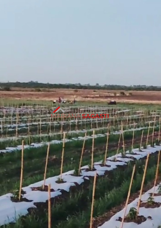 Campo Ref.3552 - Campo en , 